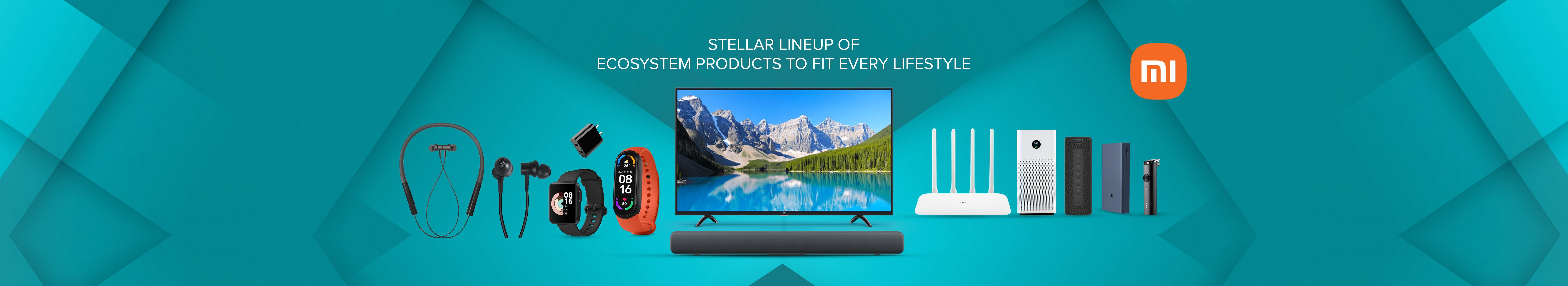 Consumer Electronics 